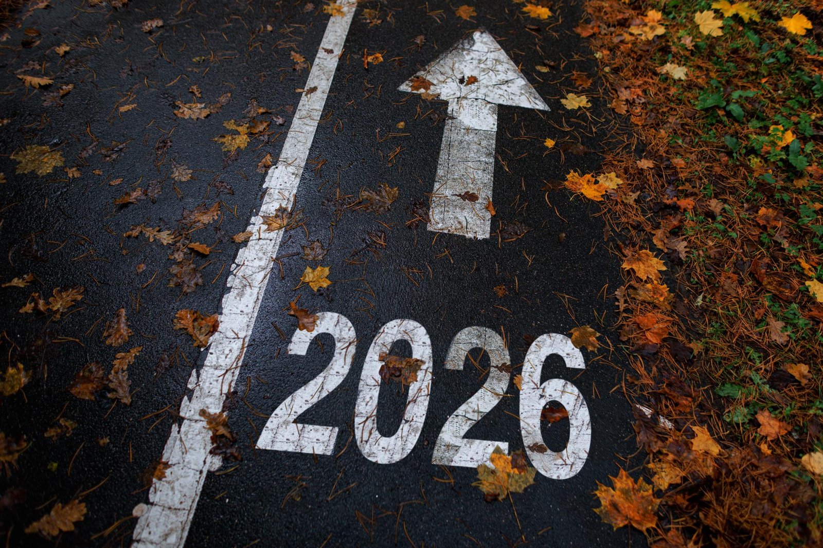 7 razões para conhecer melhor o uso medicinal da cannabis em 2026