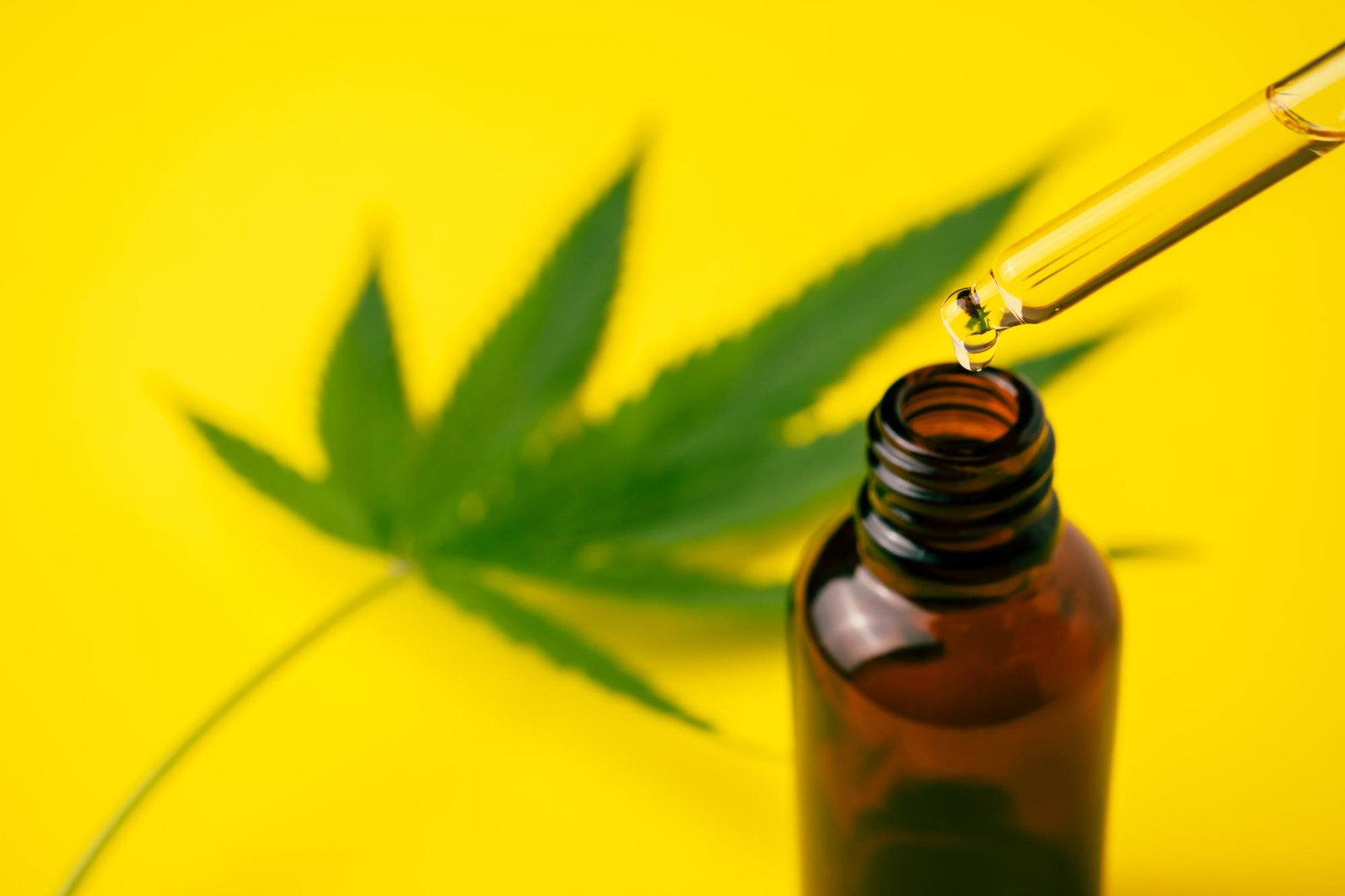Araraquara apresenta resultados de uso medicinal da cannabis em pacientes do SUS