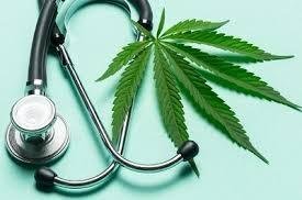 Cannabis medicinal e saúde mental: o que a ciência já sabe sobre essa relação