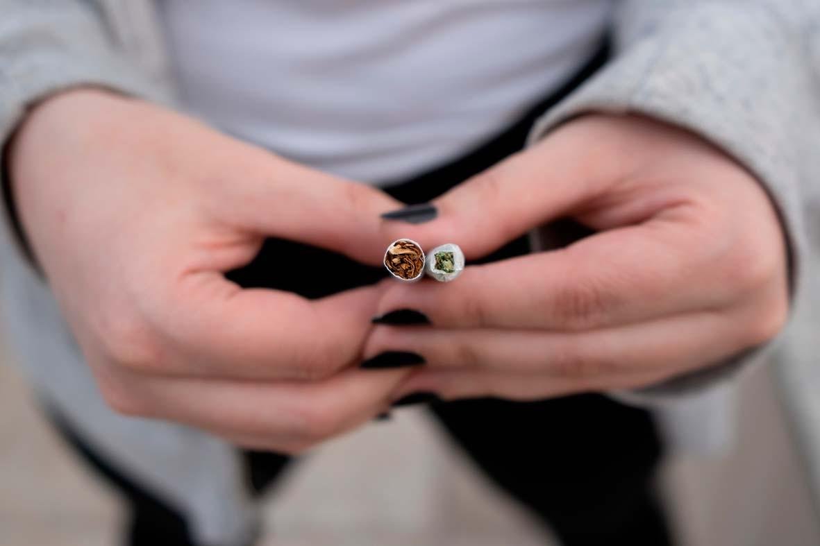 Cannabis medicinal pode ajudar no tratamento da fibromialgia