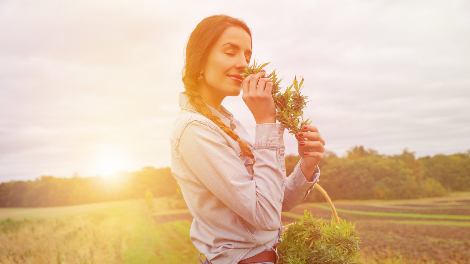 CBD pode ajudar a combater sintomas da menopausa