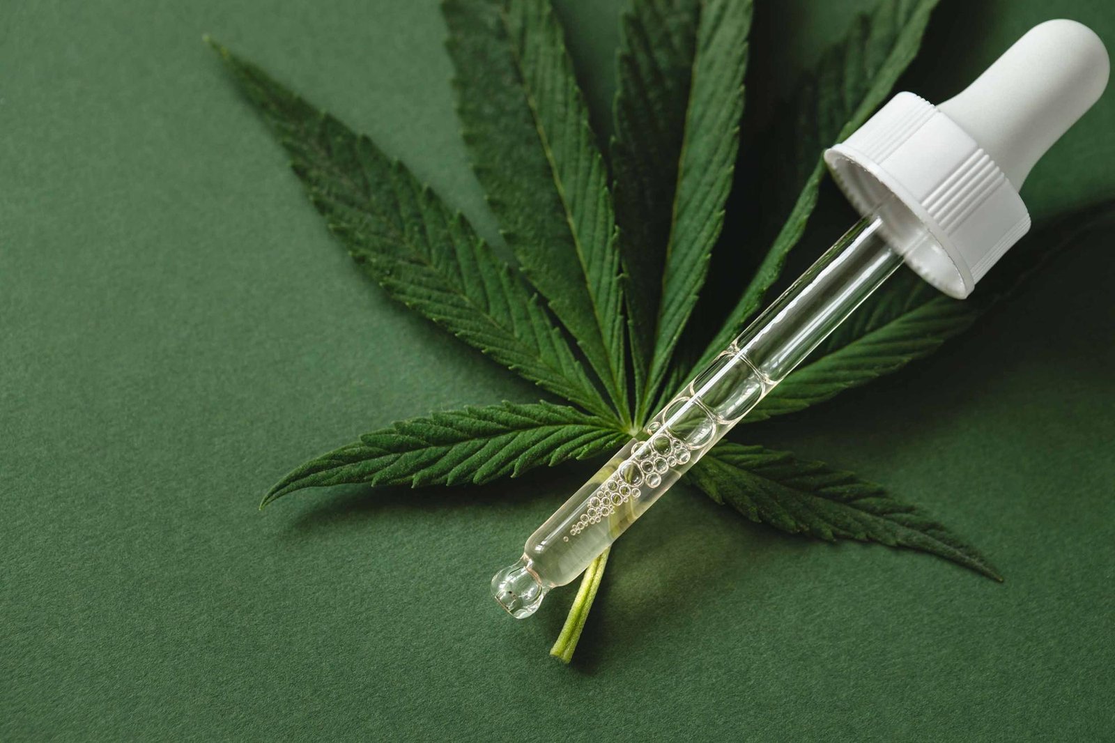 Como a cannabis medicinal auxilia portadores das síndromes de Dravet e Lennox-Gastaut