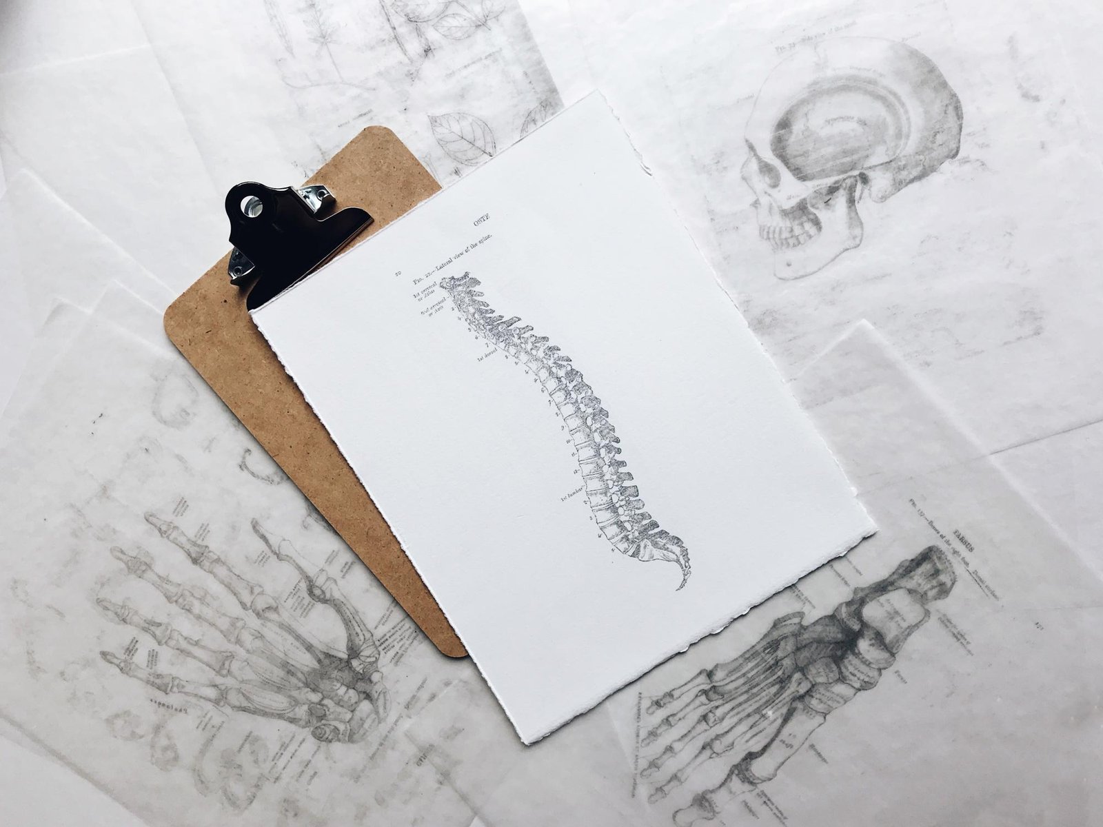 Como o CBD pode ajudar quem tem osteoporose?