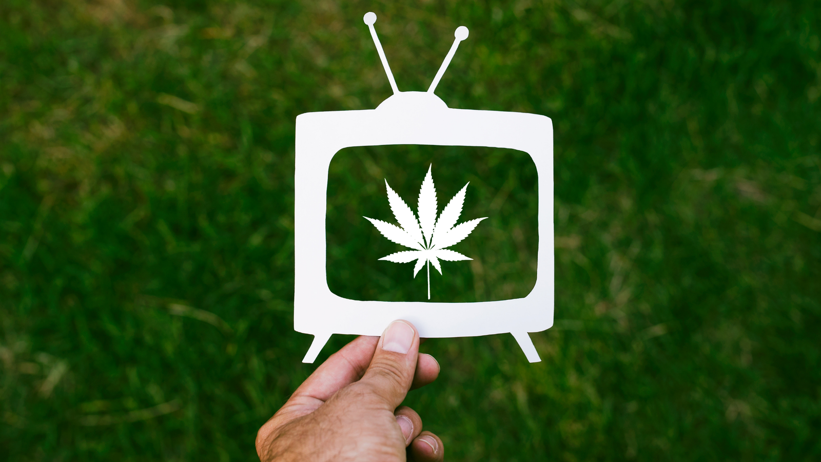Documentários sobre a cannabis para você assistir