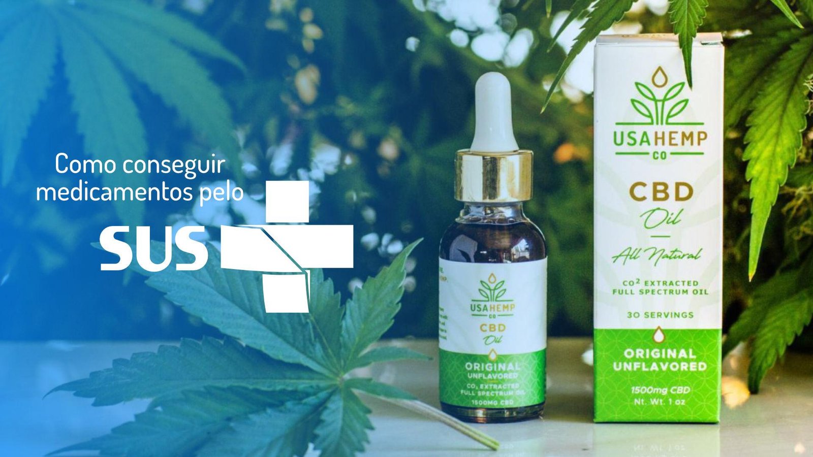 É possível obter cannabidiol (CBD) pelo SUS?