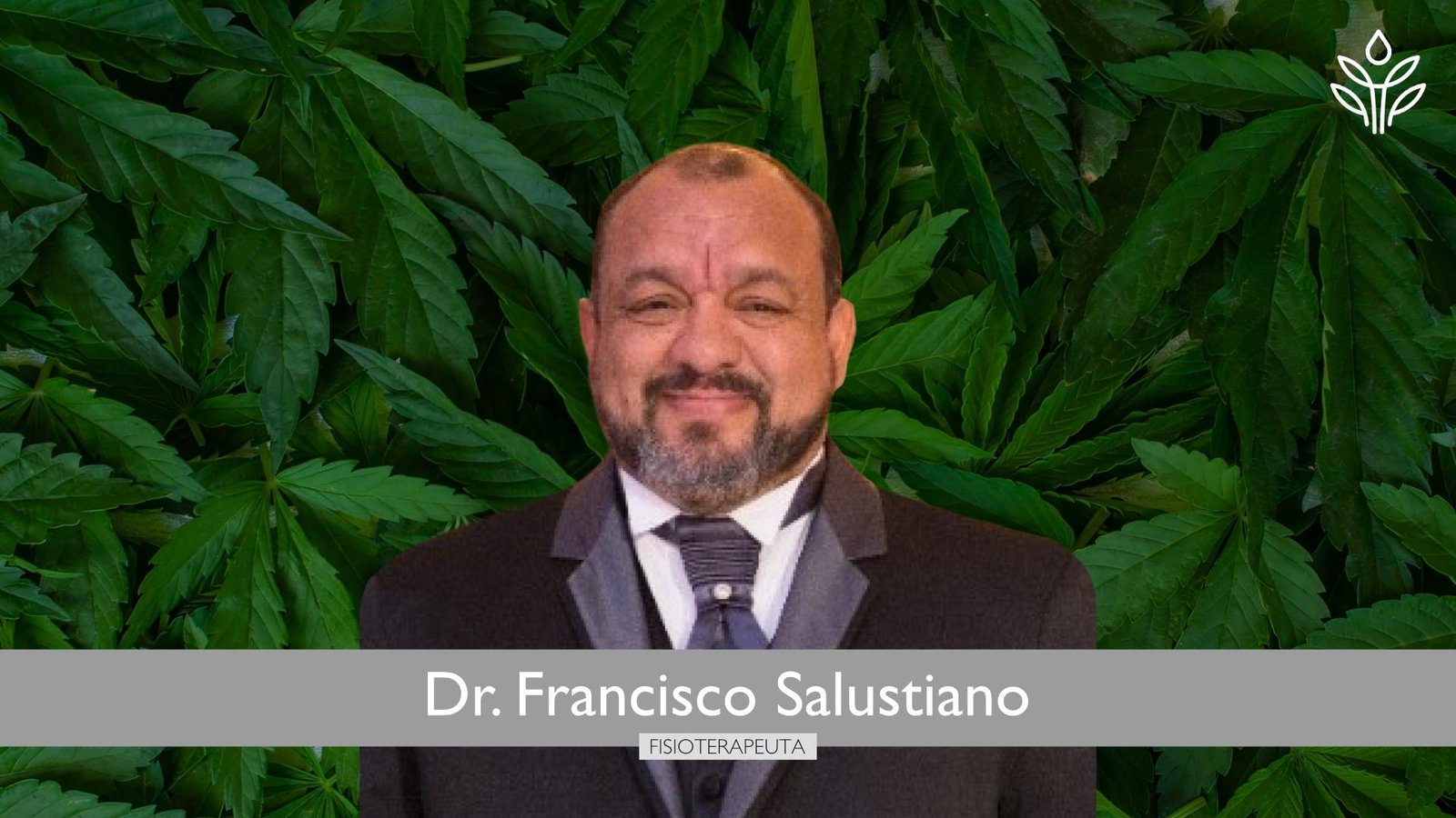Entenda a base legal que regulamenta o uso medicinal da cannabis na Fisioterapia