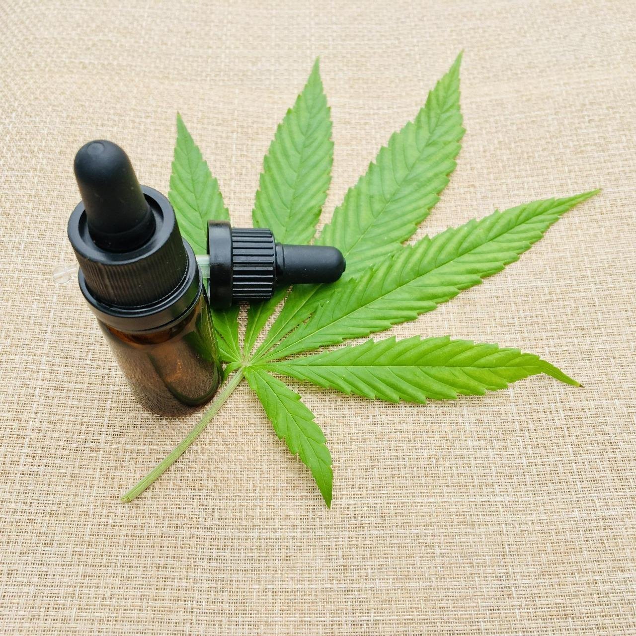 Estudo sobre fibromialgia, ansiedade e depressão aponta que a cannabis pode ser um tratamento eficaz