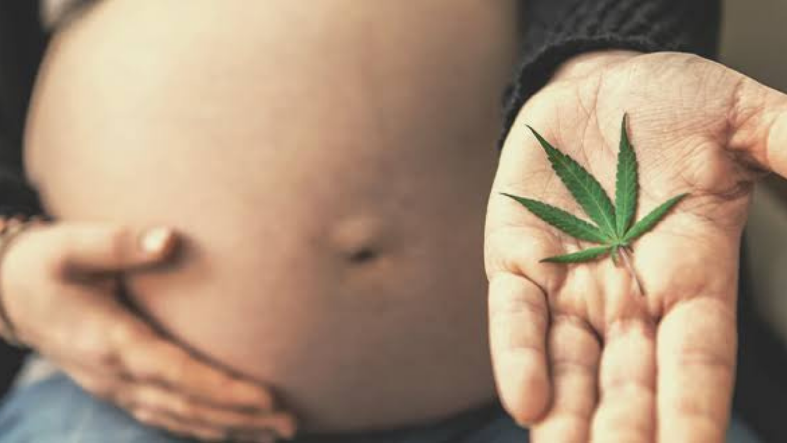 Gestantes e lactantes podem usar CBD?