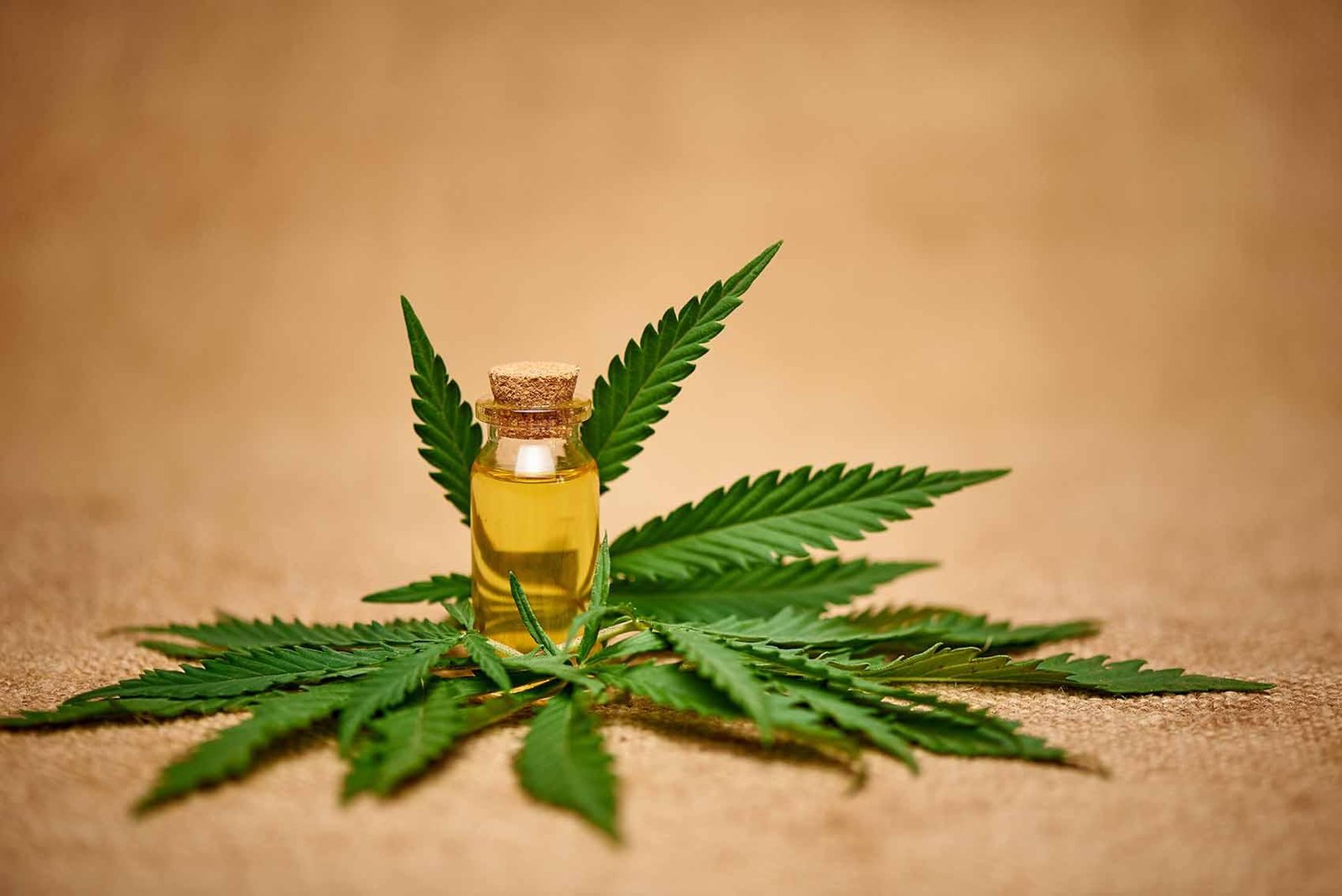 Governo do RJ sanciona lei que prevê gratuidade no fornecimento de cannabis medicinal