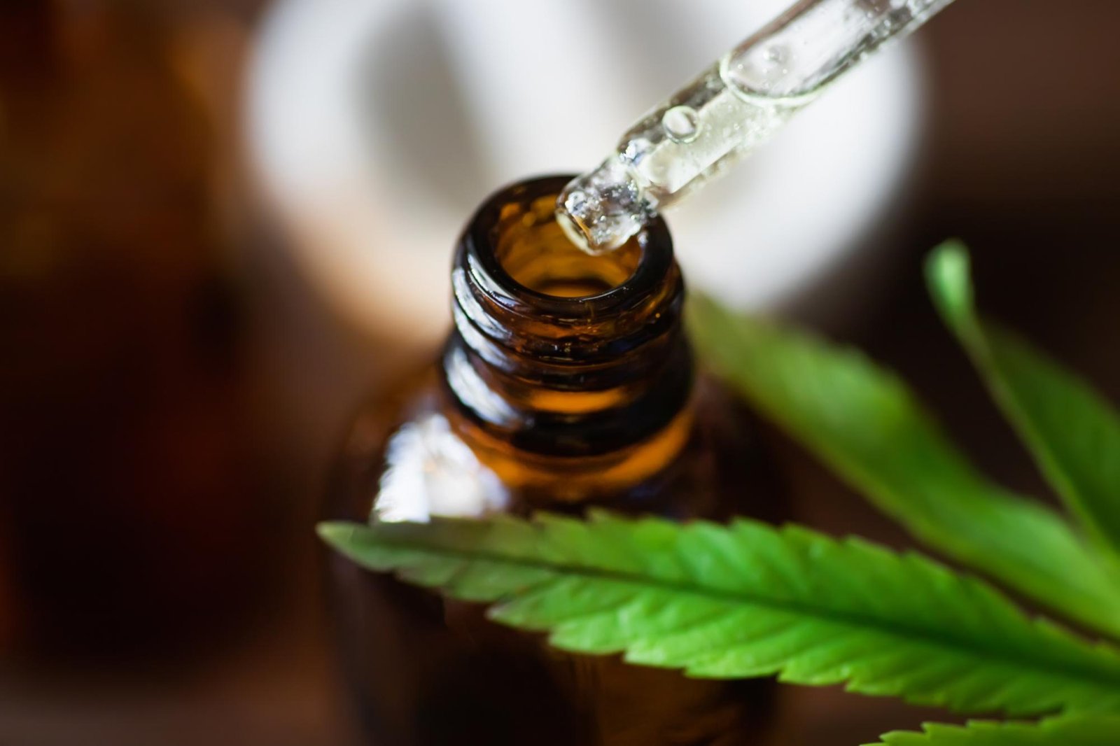 Histórias reais fortalecem o uso da cannabis medicinal no Brasil