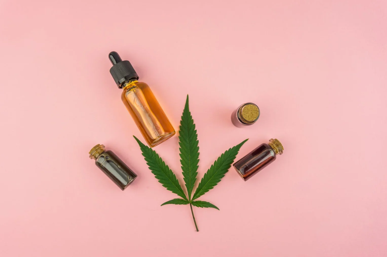 O uso da cannabis medicinal em cuidados paliativos