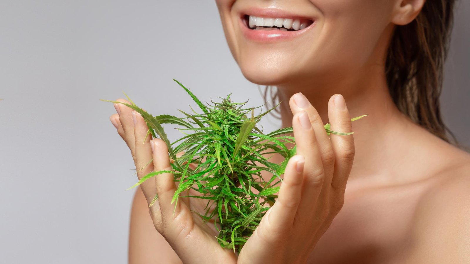 STJ autoriza cultivo medicinal de cannabis para tratamento odontológico