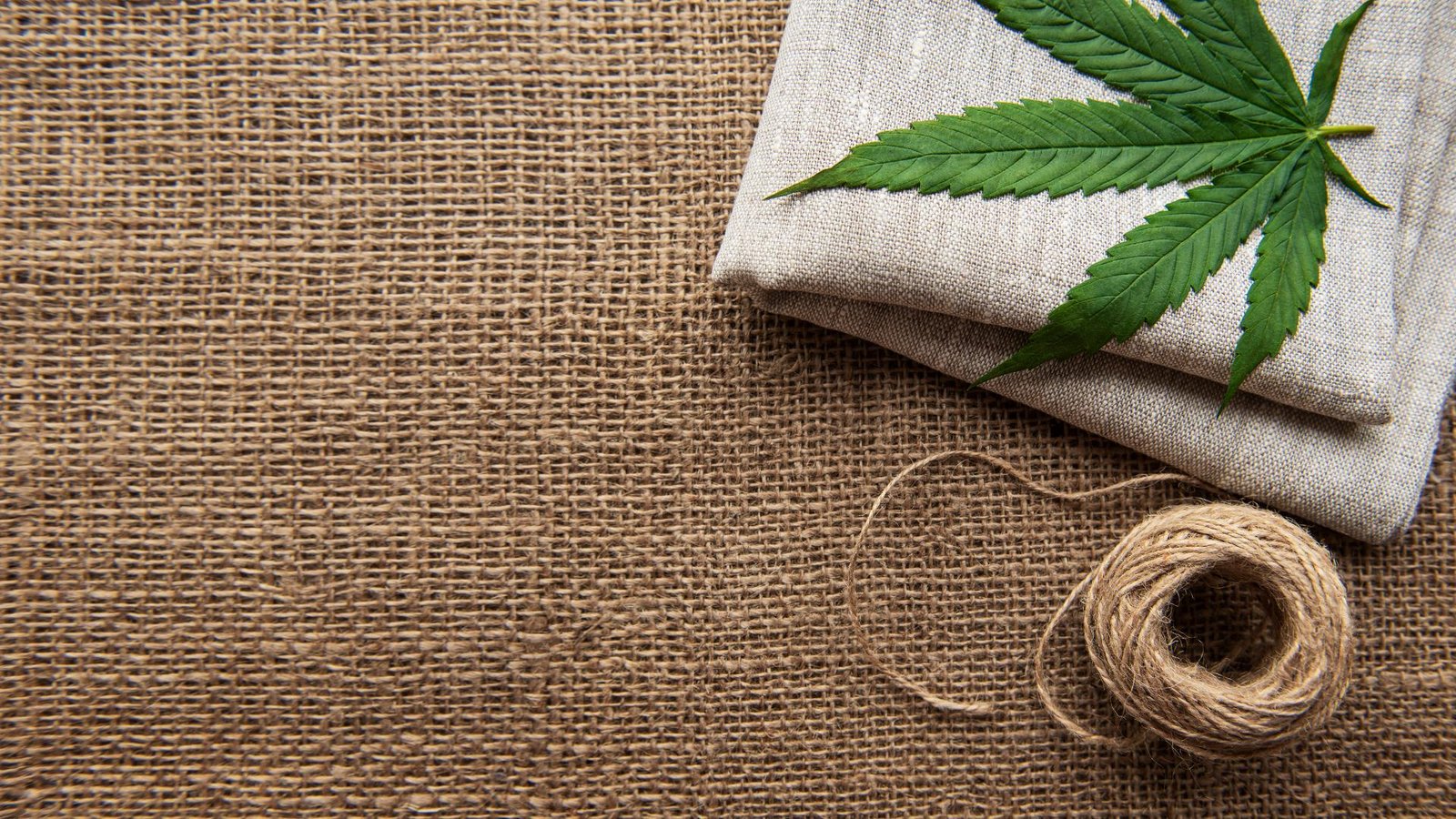 Você sabia que a cannabis também está na indústria têxtil?
