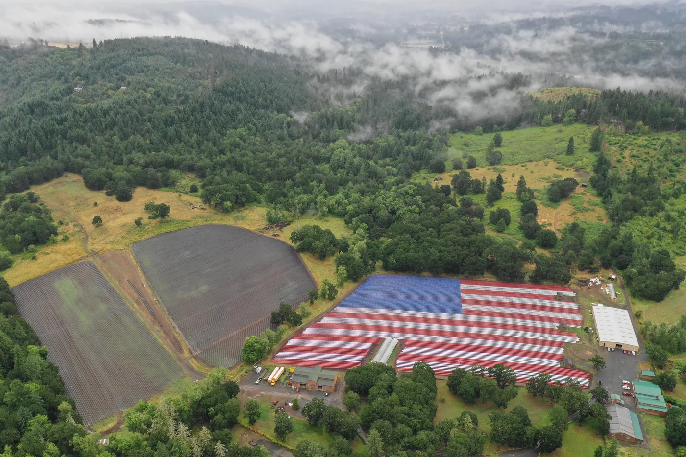 Fazenda Oregon USA HEMP